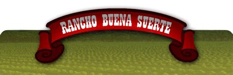 rancho buena suerte game room photos
